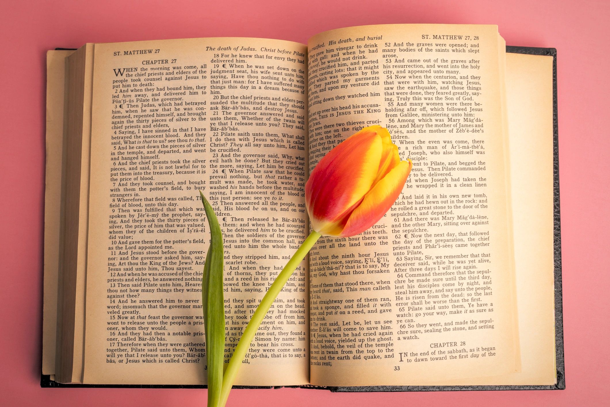 Open Bible with flower representing reflection and peace